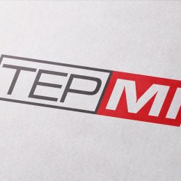 logo tepmi